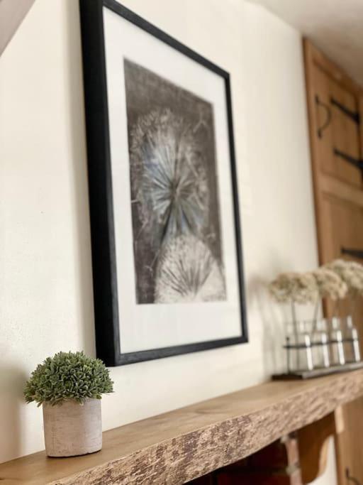 Aragon Cottage ラドロー エクステリア 写真